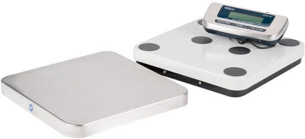 Edlund - 10 lb Stainless Steel Digital Pizza Scale with Front Tare - EPZ-10F