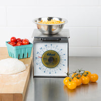 Edlund - Deluxe 16 Oz Portion Scale with 6" x 6 3/4" Platform - DR-1