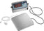 Edlund - Edvantage® 20 lb Wireless Programmable Digital Pizza Scale with Remote Display - EDPZ-20