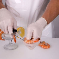 Elara - Natrufit X-Large PF Latex Gloves, 100/Bx - FL204