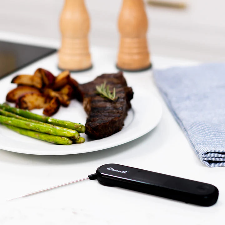 Escali - 10.42" Black Stelo Waterproof Folding Thermometer - DH10