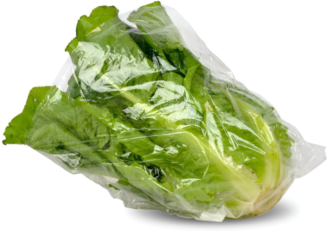 Fantapak - 12" X 12" Large Polypropylene Lettuce Bags with Vent Holes, 1000/Cs - PP-12x12+4-VENT (Special Order Item)