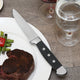 Fortessa - 10" 4 PC Vaquero Serrated Full Size Steak Knife (25 cm) - 4PS-270
