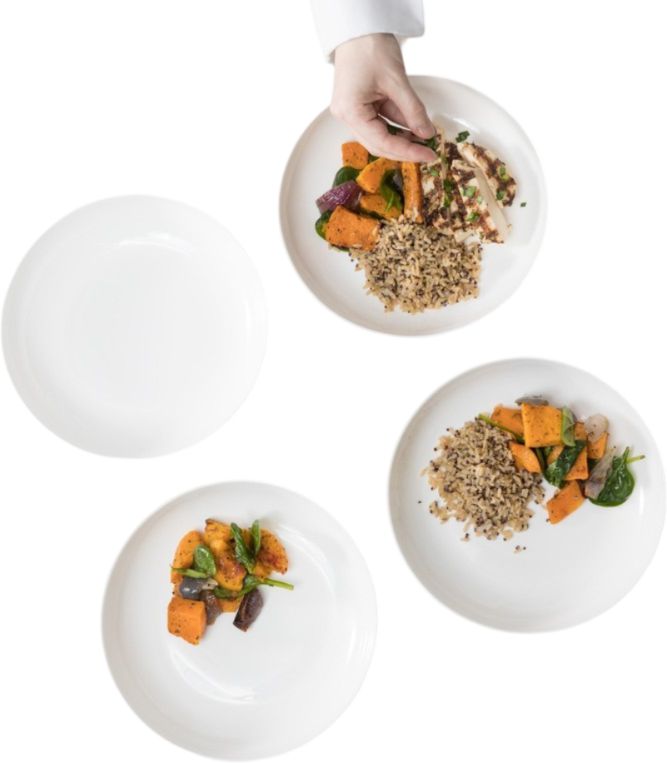 Fortessa - 10.5" Modern Coupe Dinner Plate, Pack of 4 - FFD-MC-803