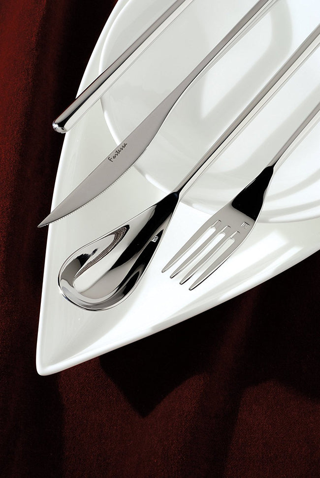 Fortessa - 20 PC Dragonfly Stainless Steel Flatware Set - 5PPS-810-20PC
