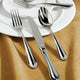 Fortessa - 20 PC Forge Stainless Steel Flatware Setting - 5PPS-109-20PC