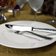 Fortessa - 20 PC Lucca Faceted Stainless Steel Flatware Set - 5PPS-102FC-20PC