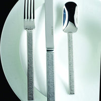 Fortessa - 5 PC Acqua Place Setting - 5PPS-181-05