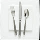 Fortessa - 5 PC Doria Stainless Steel Place Setting - 5PPS-131-05