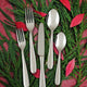 Fortessa - 5 PC Grand City Stainless Steel Place Setting - 5PPS-622-05