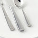 Fortessa - 5 PC Ringo Stainless Steel Place Setting - 5PPS-103-05