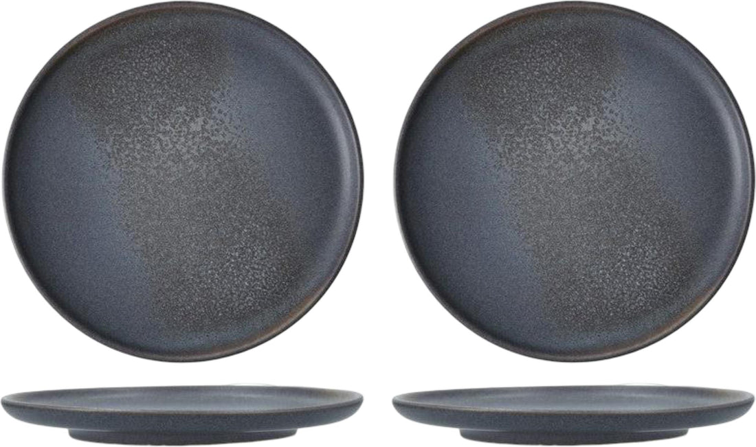Fortessa - CT Collection Iceland Volcanic 8.5" x 1.75" Gray Coupe Salad Plate, Pack of 4 - CT.ICE.VG.804