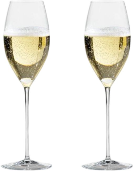 Fortessa - Handmade Enoteca Champagne 10.3 Oz Glass, Pack of 2 - 0011.122195