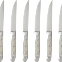 Fortessa - Metalware 9.1" Serrated Edge Steak Knife with Grey Acrylic Handle, Pack of 6 - 1.5.STK.SR.273