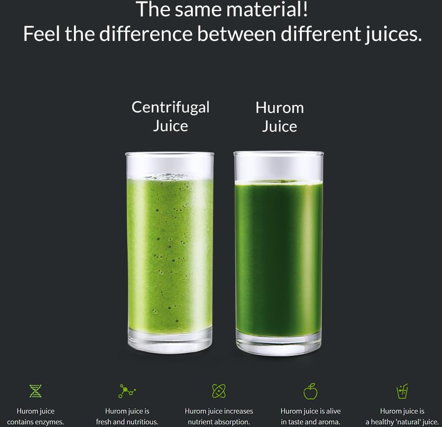 Hurom - H310A Charcoal Slow Juicer - H310A-BBC04CL