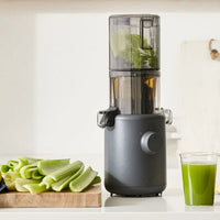 Hurom - H310A Charcoal Slow Juicer - H310A-BBC04CL