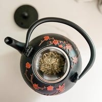 Ja By Frieling - Hama 34 Ounce Black Cast Iron Teapot with Stainless Steel Infuser and Trivet - J25361