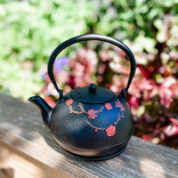 Ja By Frieling - Hama 34 Ounce Black Cast Iron Teapot with Stainless Steel Infuser and Trivet - J25361