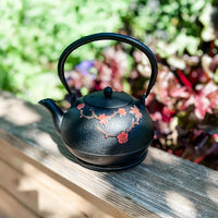 Ja By Frieling - Hama 34 Ounce Black Cast Iron Teapot with Stainless Steel Infuser and Trivet - J25361