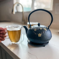 Ja By Frieling - Hama 34 fl. oz. Black/Yellow Cast Iron Teapot & Cast Iron Trivet with Stainless Steel Infuser - J25619