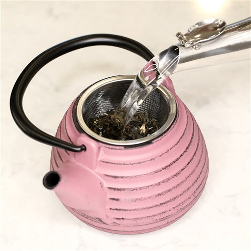 Ja By Frieling - Nabe 17 Oz Lavender Cast Iron Teapot with Stainless Steel Infuser - J25137