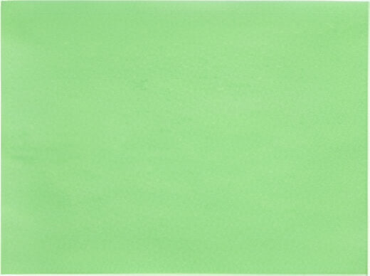 Joshen Paper & Packaging - 8" x 11" Green Steak Paper, 1000/Bx - 620340