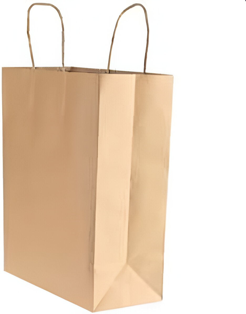 Kari-Out - 12.99" x 6.89" x 16.81" Large Kraft Rope Handle Paper Shopping Bags, 250/Bn - 1200130