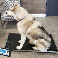 Kilotech - KWS VET 250 500 lb x 0.2 lb Electronic Platform Vet Scales - K851317