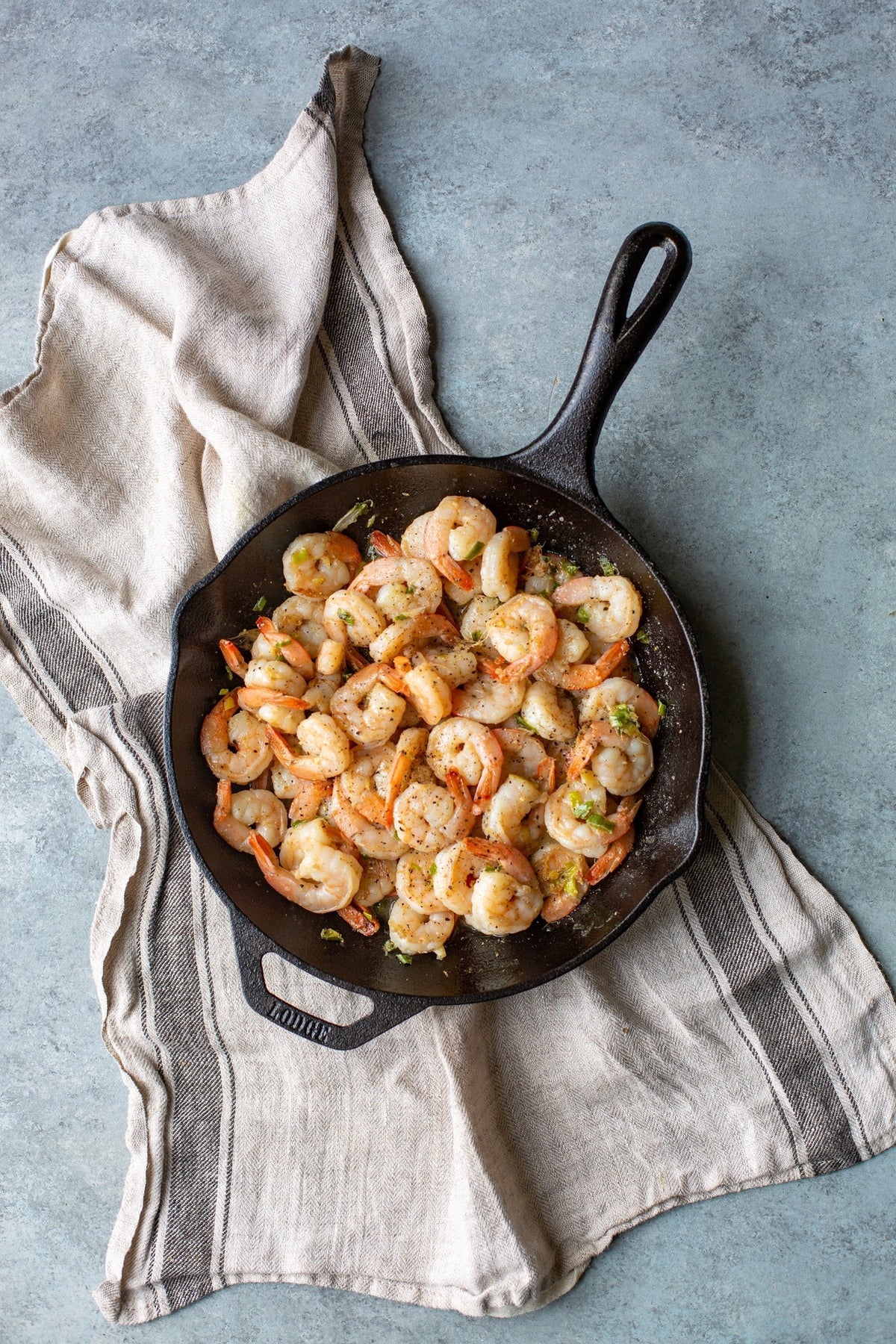 Lodge - 10" Chef Collection Cast Iron Skillet - LC10SKINT