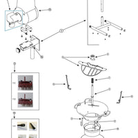 Louis Tellier - Central Spiral Spring, Pack of 5 - P10003-5