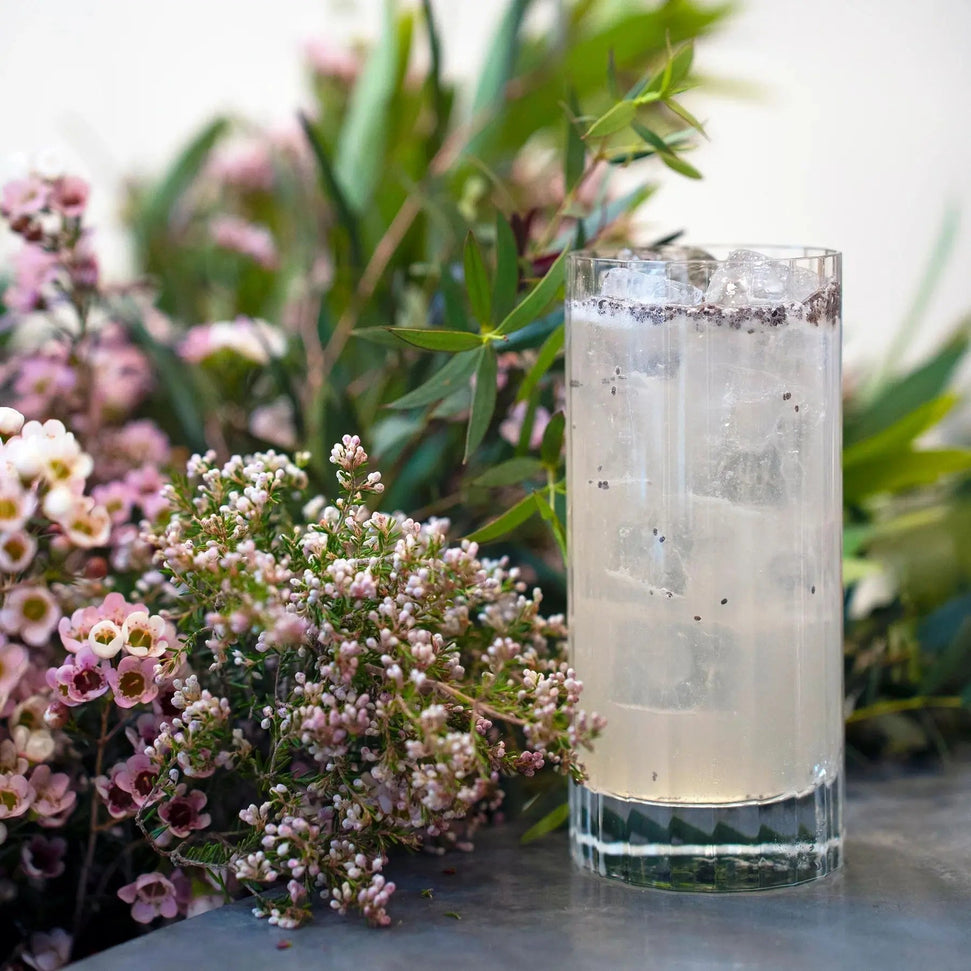 Luigi Bormioli - 12 Oz Bach Hi-Ball Tumbler, Pack of 6 - A10826BYL02AA01