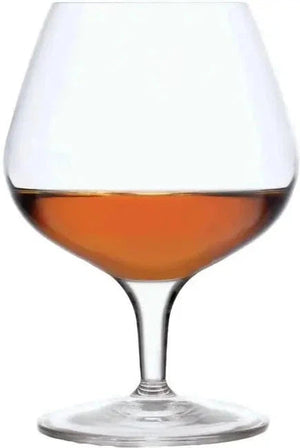 Luigi Bormioli - 13 Oz Stemware Napoleon Wine Glass, Set of 6 - A10195BYL02AA01