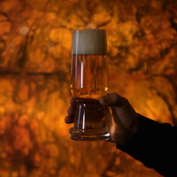 Luigi Bormioli - 18 Oz Pilsner 54 Clear Tumbler Birrateque, Pack of 24 - A12461BYL02AA01