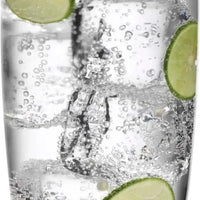 Luigi Bormioli - 20 Oz Michel Professional Cooler Tumbler, Pack of 24 - A10238B32021990