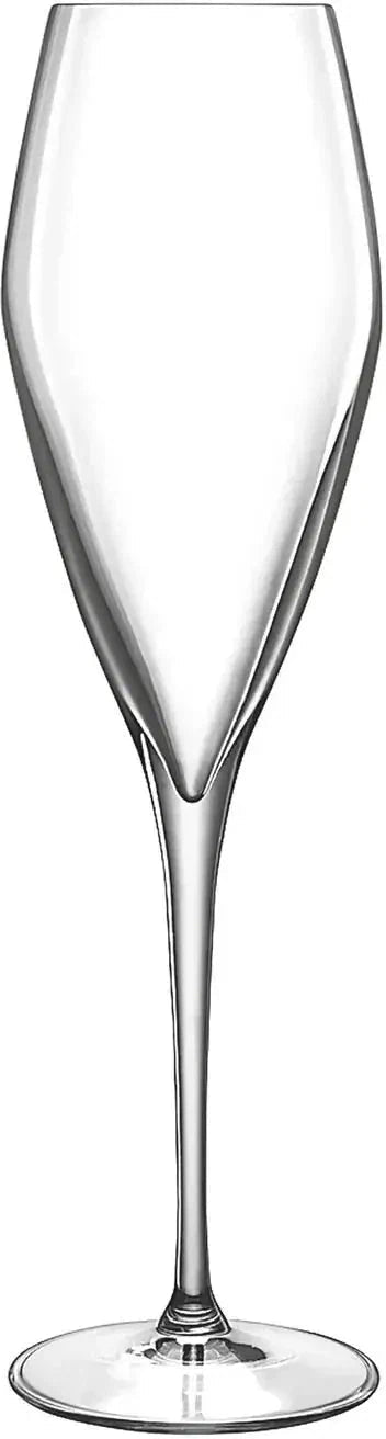 Luigi Bormioli - 9 Oz Stemware Atelier Champagne/Prosecco Wine Glass, Set of 6 - A08748BYI02AA07