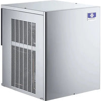 Manitowoc - Flake and Nugget Modular 120V 22" Air Cooled Nugget Ice Maker With 575 lbs Production Per 24 Hours - RNP0620A-161
