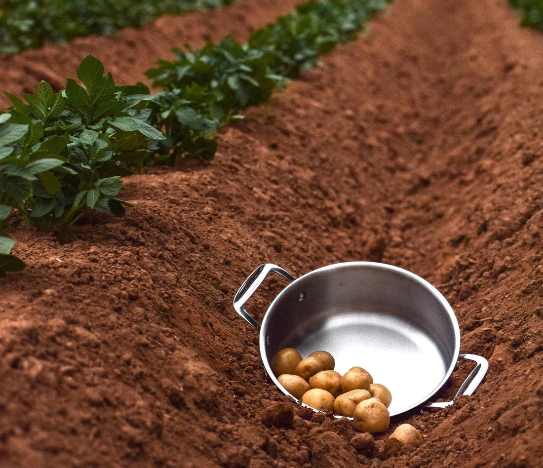 Meyer - 5 L Confederation Series Dutch Oven with Lid - 2407-24-05