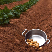 Meyer - 6.5 L Dutch Oven with Lid Confederation Series - 2407-24-65