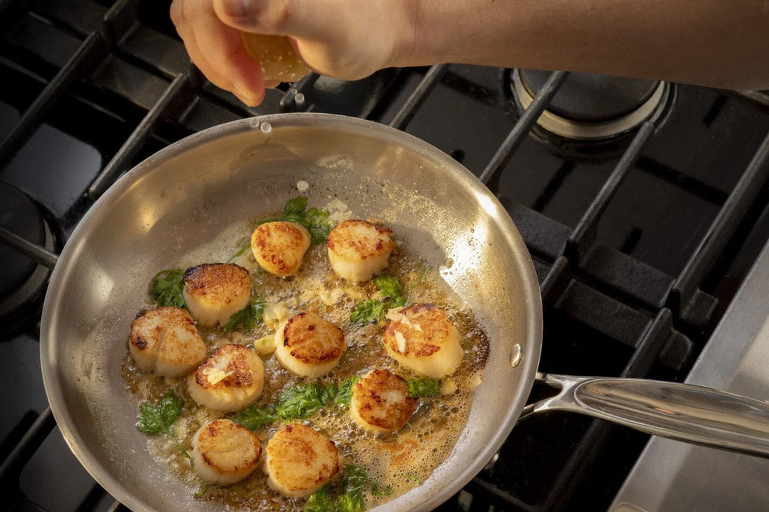 Meyer - Confederation 8"/20 cm Stainless Steel Frying Pan - 2414-20-00