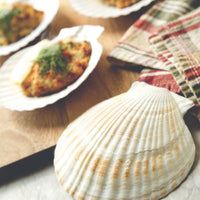 Nantucket Seafood - 4 PC Natural Baking Shells - Large - 4770