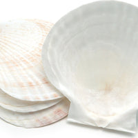 Nantucket Seafood - 4 PC Natural Baking Shells - Large - 4770