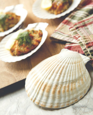 Nantucket Seafood - 4 PC Natural Baking Shells - Large - 4770