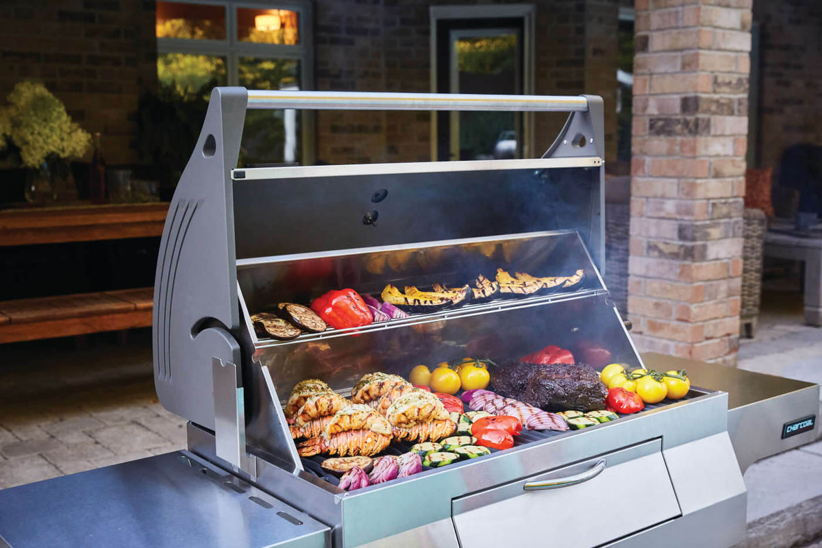 Napoleon - Charcoal Professional Grill, Stainless Steel - PRO605CSS
