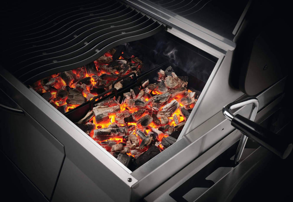 Napoleon - Charcoal Professional Grill, Stainless Steel - PRO605CSS