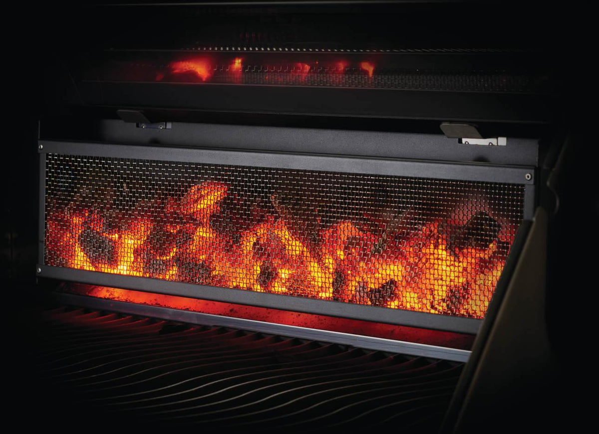Napoleon - Charcoal Professional Grill, Stainless Steel - PRO605CSS