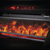 Napoleon - Charcoal Professional Grill, Stainless Steel - PRO605CSS