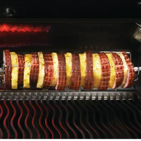 Napoleon - Commercial Grade Rotisserie Kit for Charcoal PRO Grill PRO605CSS - 69331