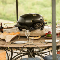 Napoleon - TravelQ™ PRO285 Portable Natural Gas Grill, Black - PRO285N-BK