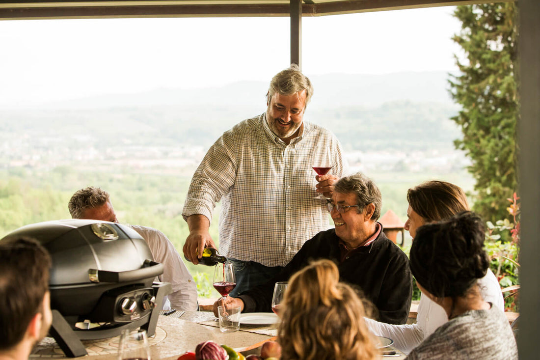 Napoleon - TravelQ™ PRO285 Portable Propane Gas Grill, Black - PRO285-BK