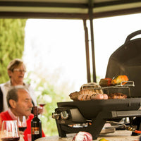 Napoleon - TravelQ™ PRO285 Portable Propane Gas Grill, Black - PRO285-BK